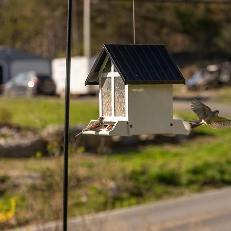 Cozy Cottage, Hot Tub, Fire Pit, 15Min To Hudson And Hiking Catskill Dış mekan fotoğraf